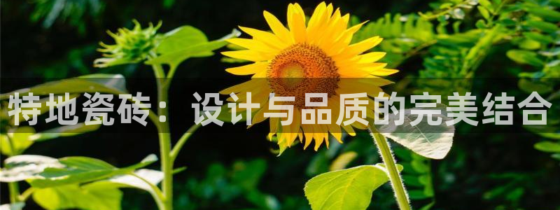 万事达娱乐j霜441200