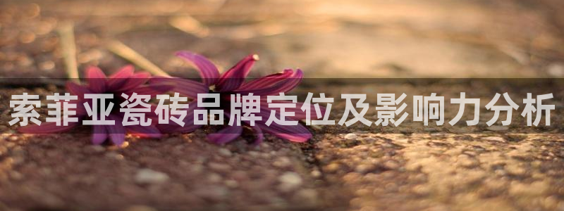 万事达娱乐设备