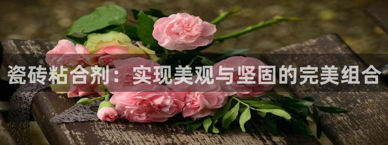 万事达娱乐官网