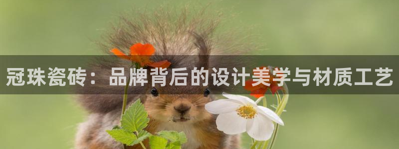 万事达娱乐彩票