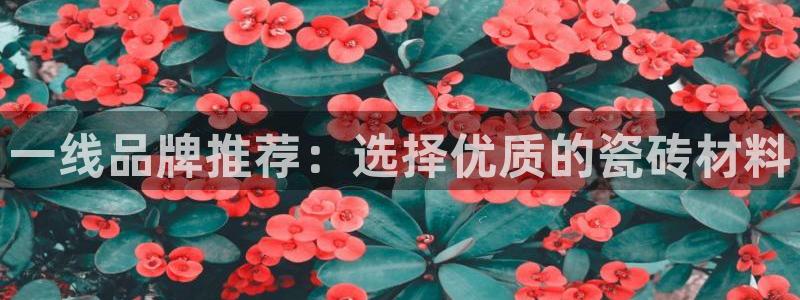 万事达娱乐问55312