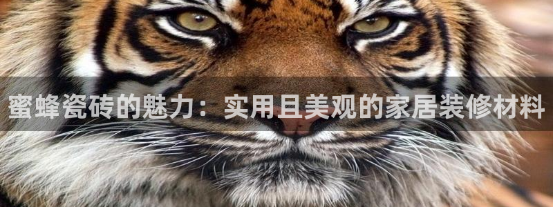 万事博娱乐场