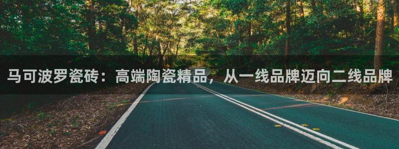 万事达娱乐a实力56262