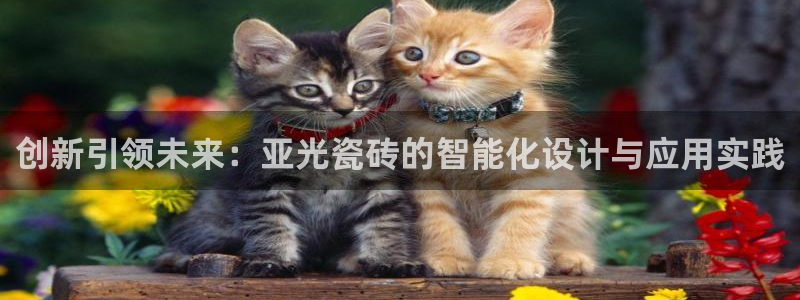 万事达娱乐首页