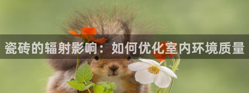 万事娱乐平台手机下载