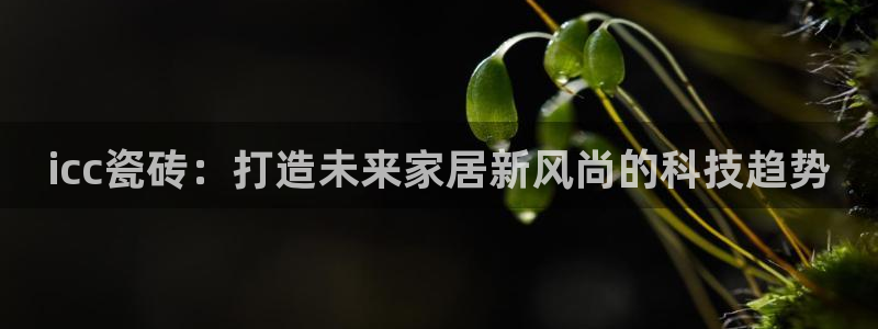 娱乐万事屋张宇