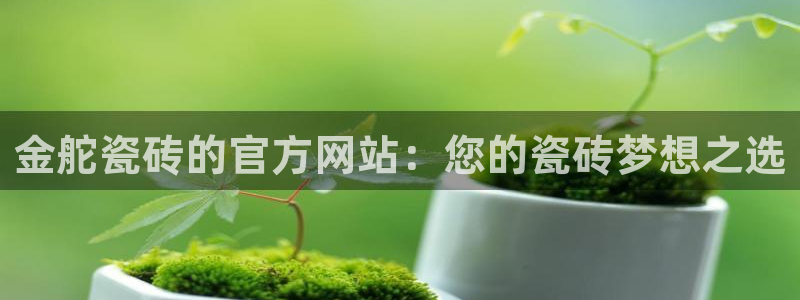 万事娱乐平台崩盘