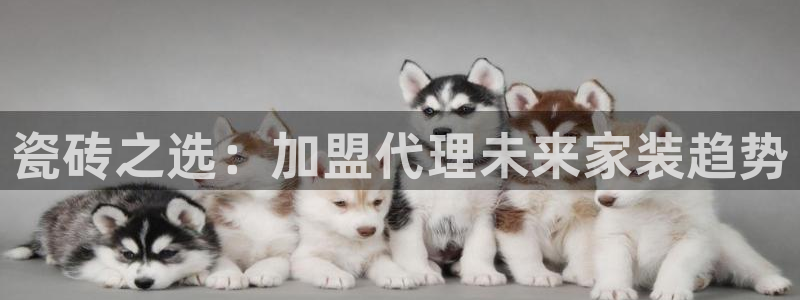 美女春节娱乐万事如意