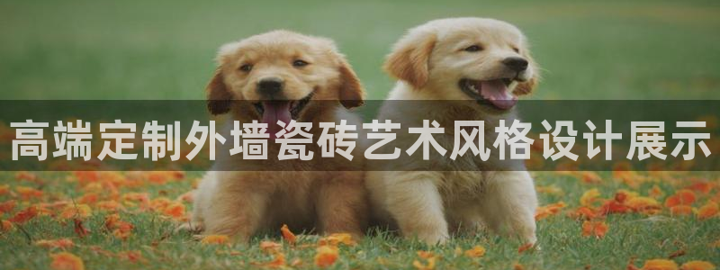 万事娱乐app下载