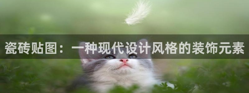 娱乐江湖万事通