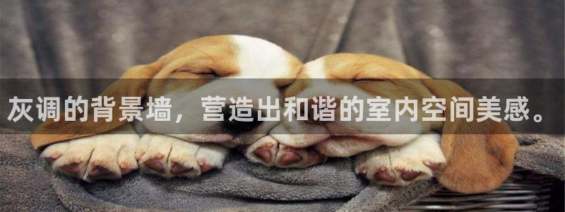 万事达娱乐注册平台