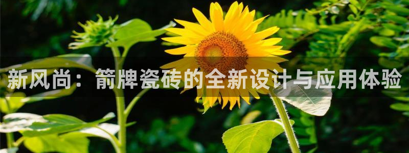 万事娱乐高点位注册