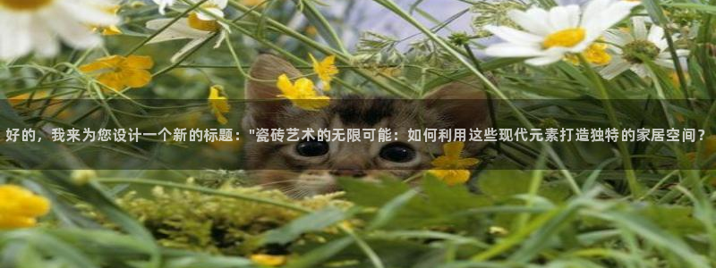 惠东万事达酒店娱乐