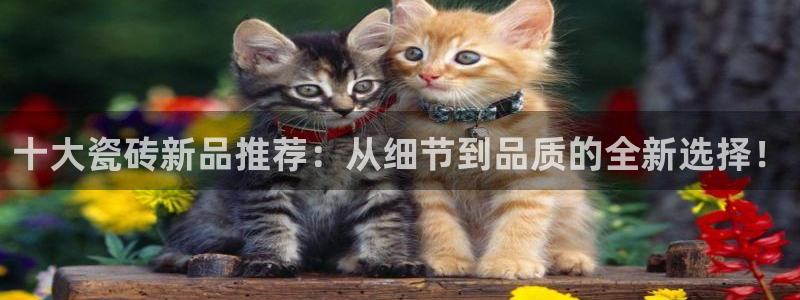 万事其昌娱乐传媒