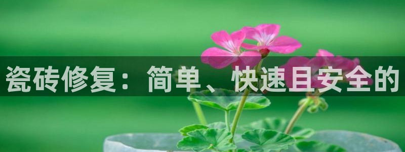 万事达娱乐彩票