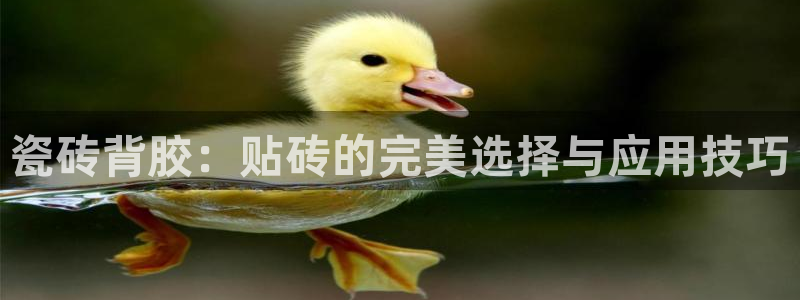 万事娱乐手机客户端