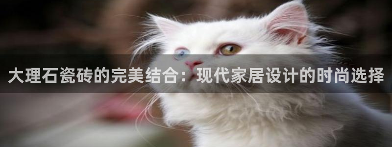 万事娱乐挂机软件下载