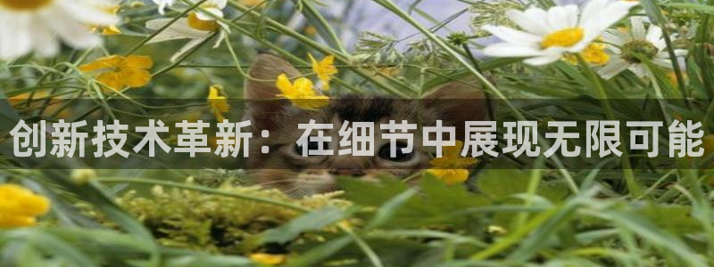 万事娱乐主管招聘