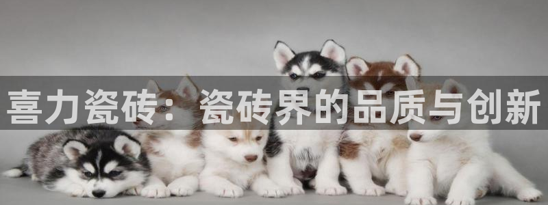 万事娱乐判决书