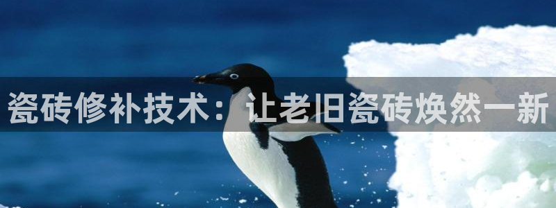 万事达娱乐股东