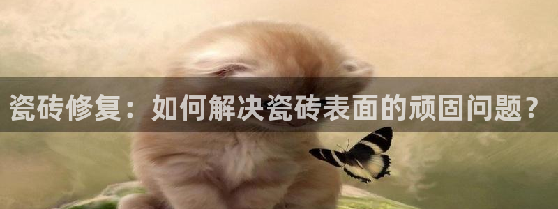 万事达娱乐指尖年