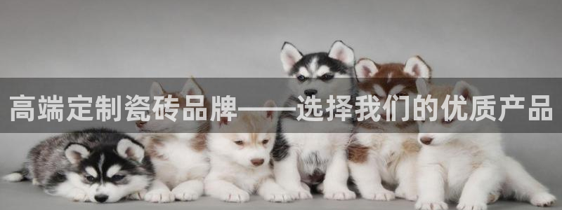 娱乐生活万事通