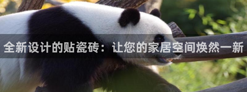 万事达娱乐上55312