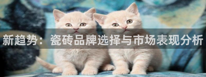 万事通娱乐官网