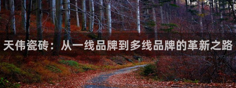 万事达娱乐 直 招