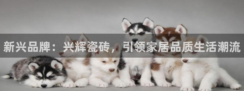 万事娱乐主管年薪多少