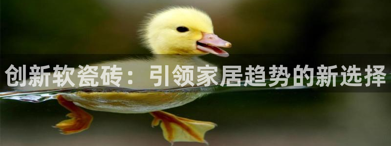 万事达娱乐程善良