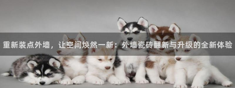 娱乐万事通作品