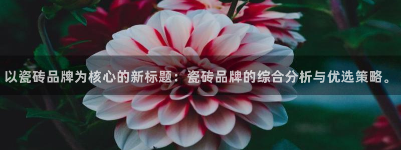 万事娱乐总裁简介