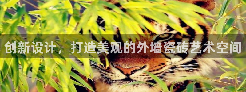 万事达娱乐荣誉21